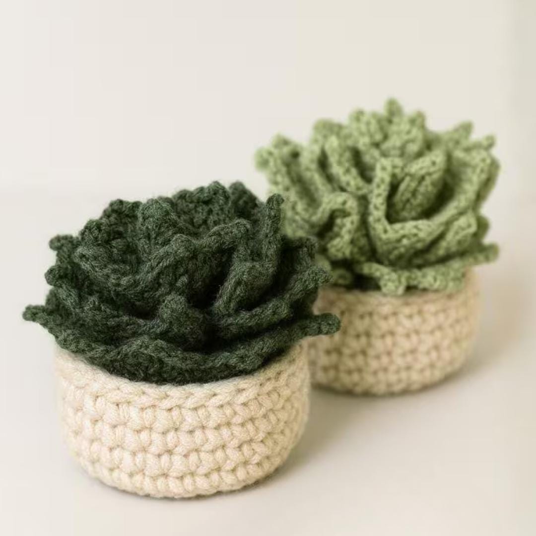 Crochet Cactus Coaster Pattern | Beginner Friendly Plant Holder Set (PDF + Video Tutorial) | wedding gift | House Warming