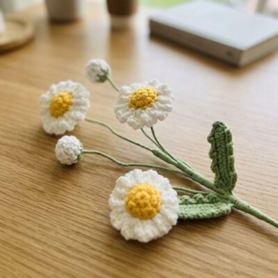 Crochet Daisy Flower Pattern, Video Tutorial, Amigurumi Bouquet, Home Decor (5 Languages) Crochet Daisy Flower Pattern, Video Tutorial, Amigurumi Bouquet, Home Decor (5 Languages)