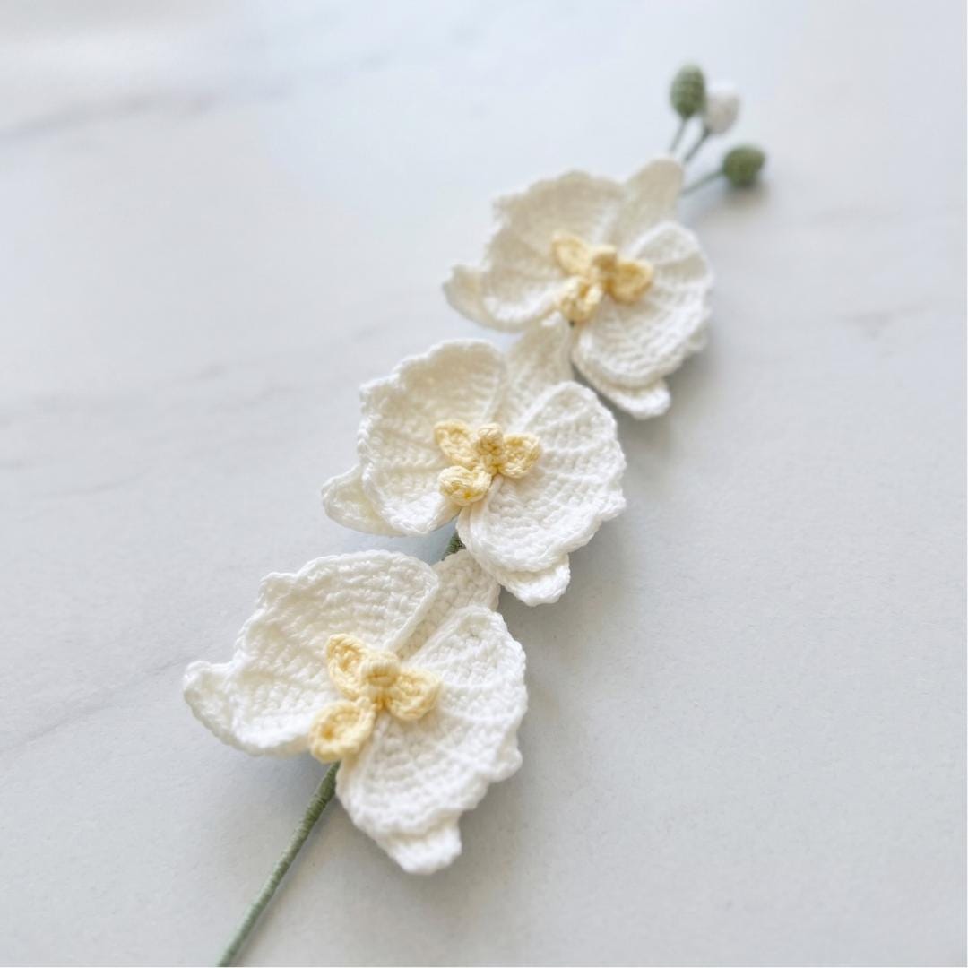 Crochet Moth Orchid Flower Pattern PDF with Video Tutorial, Elegant Bouquet DIY Gift