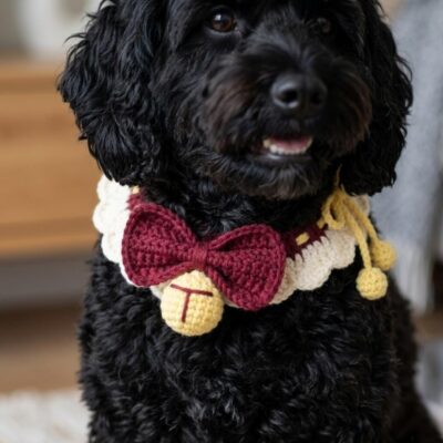Crochet Pet Collar Pattern PDF & Video Tutorial | Dog Cat Collar | Beginner Friendly Crochet Pet Collar Pattern PDF & Video Tutorial | Dog Cat Collar | Beginner Friendly