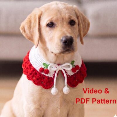 Crochet Pet Collar Pattern PDF & Video Tutorial | Dog Cat Collar | Beginner Friendly