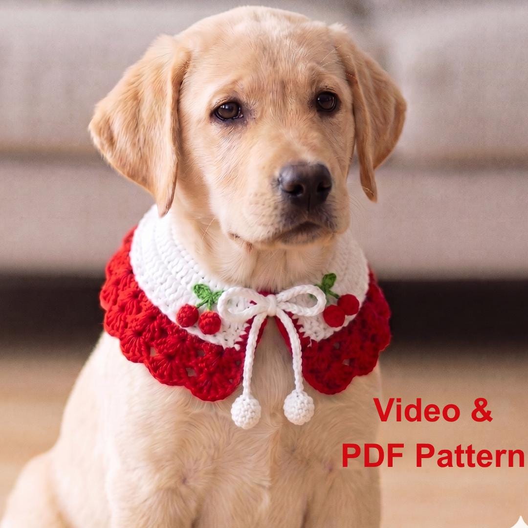 Crochet Pet Collar Pattern PDF & Video Tutorial | Dog Cat Collar | Beginner Friendly
