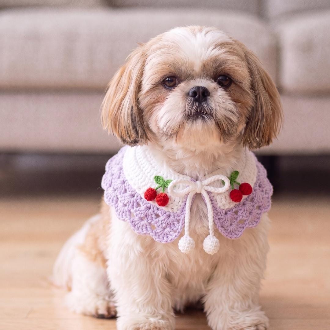 Crochet Pet Collar Pattern PDF & Video Tutorial | Dog Cat Collar | Beginner Friendly