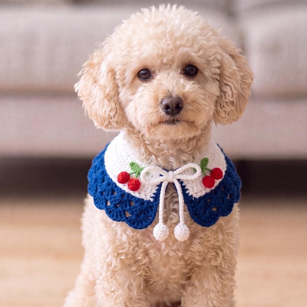 Crochet Pet Collar Pattern PDF & Video Tutorial | Dog Cat Collar | Beginner Friendly