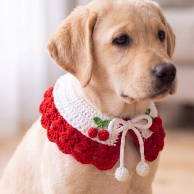 Crochet Pet Collar Pattern PDF & Video Tutorial | Dog Cat Collar | Beginner Friendly Crochet Pet Collar Pattern PDF & Video Tutorial | Dog Cat Collar | Beginner Friendly