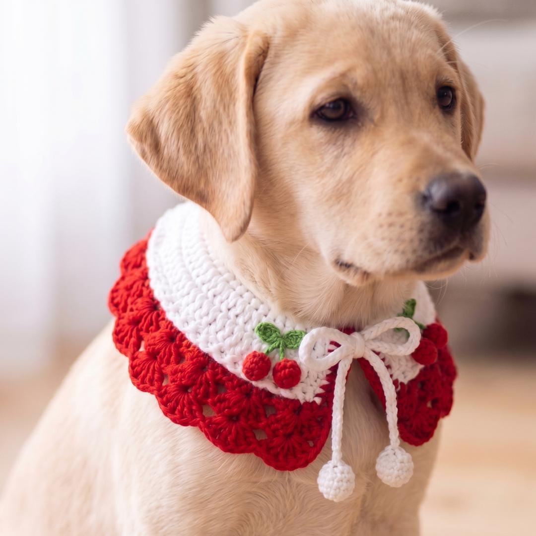 Crochet Pet Collar Pattern PDF & Video Tutorial | Dog Cat Collar | Beginner Friendly
