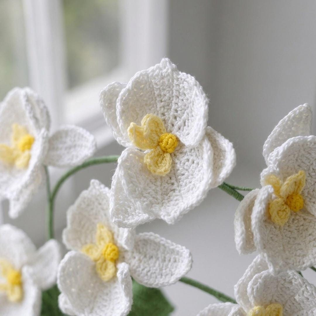Crochet Moth Orchid Flower Plant Pattern PDF with Video Tutorial, DIY Gift for mother, Easy Knitting, Floral Bouquet, Home Decoration, House